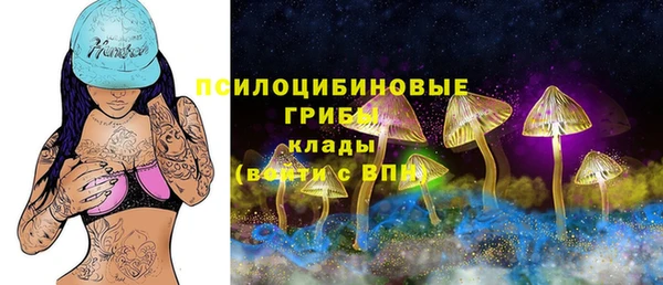 mdma Гусев