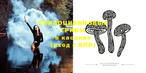 синтетический гашиш Гусиноозёрск
